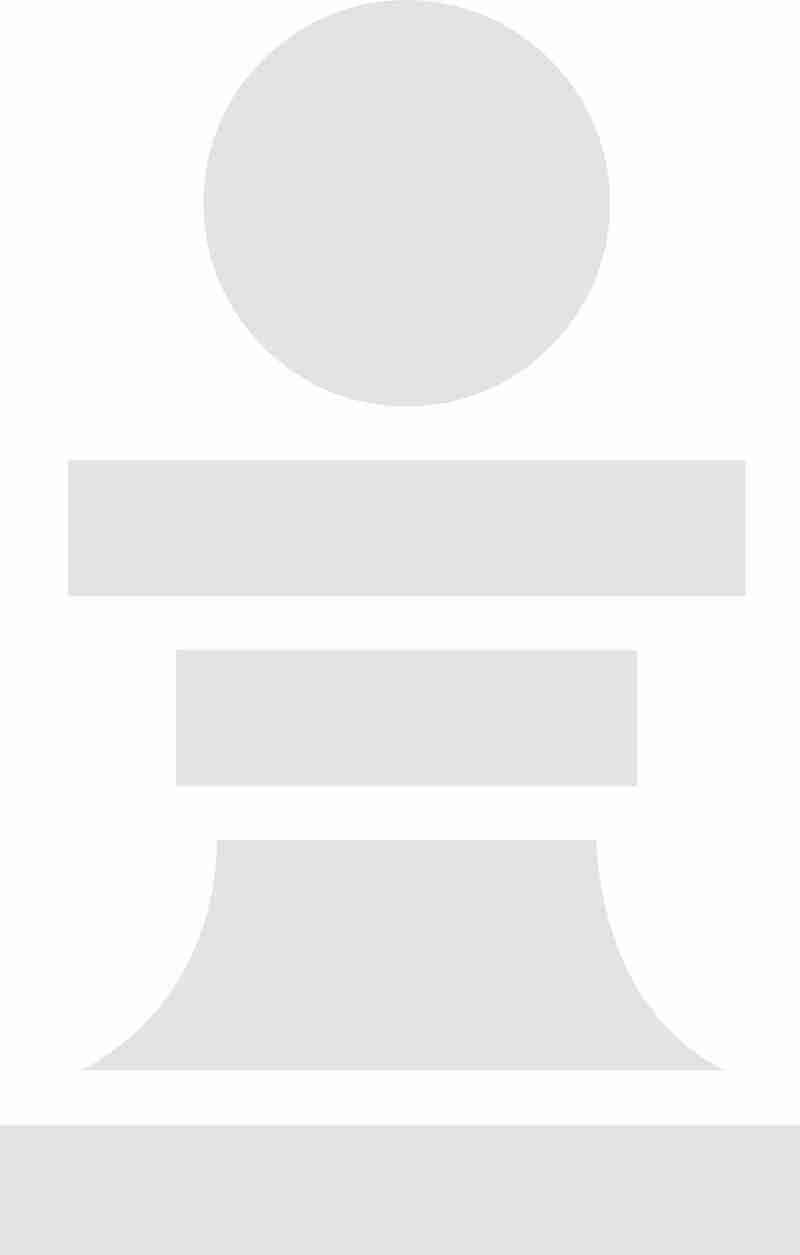 chess icon